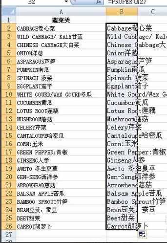 在计算机中这样切换大小英语字母,英文大小写转换器在线