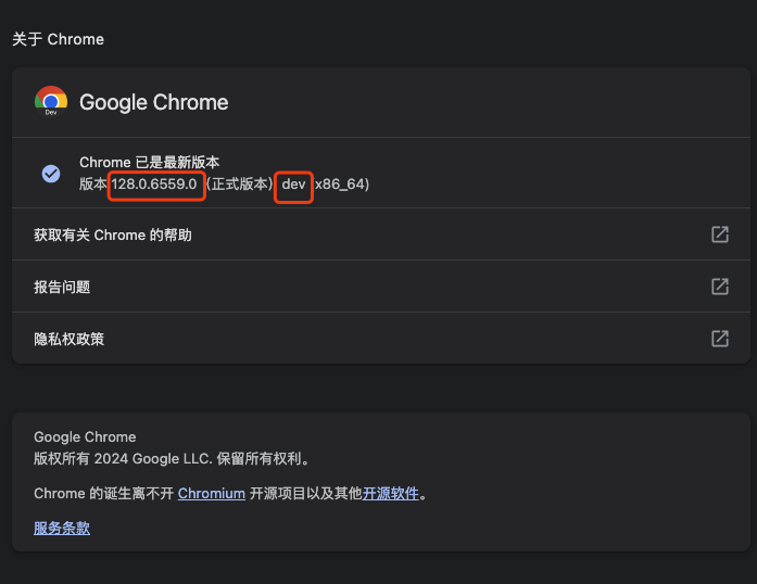 我本机Chrome Dev 版本