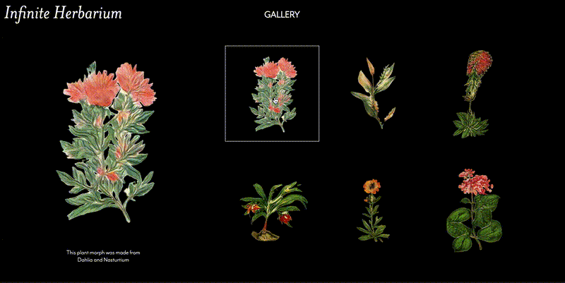 [ 无限的植物标本集 ] Infinite Herbarium - 艺术·科学·人工智能的植物学体验