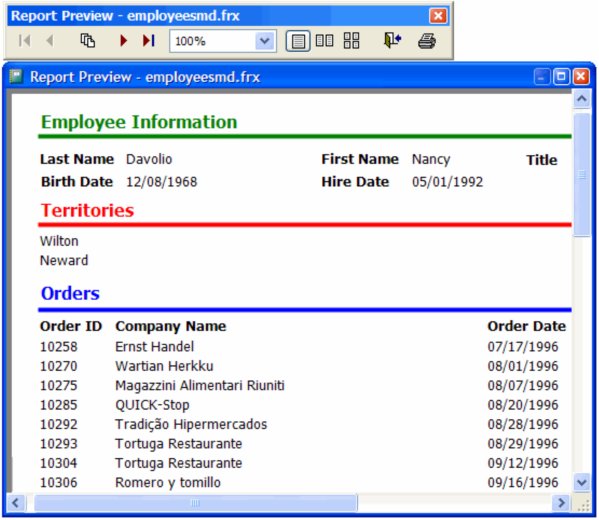 图25、在 VFP 9 中的预览窗口有更多的功能,加上它现在是一个 VFP 表单了,所以你就能完全控制它的表现了。