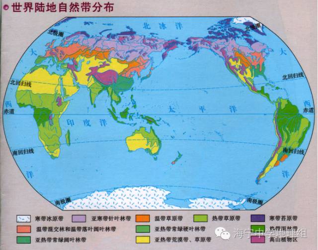各自然带代表植被初高中地理衔接第十课陆地自然景观的地区差异