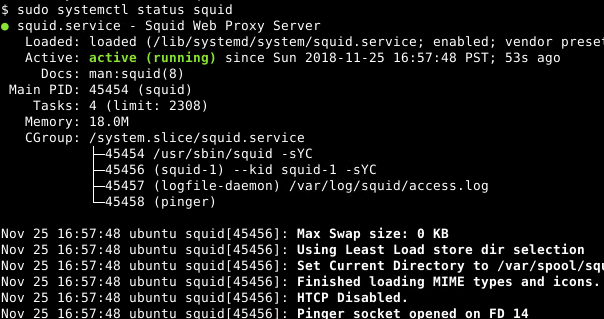 Print Squid3 Service Status