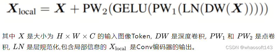 DualToken-ViT_图像分类_04