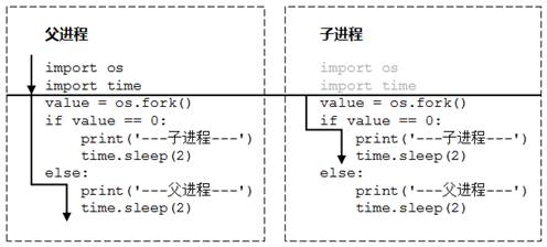 fork()函数创建进程