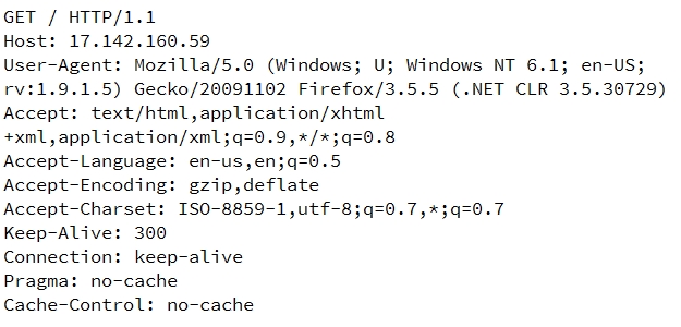 how-do-web-servers-know-if-you-are-using-direct-ip-address-access-or-not-02