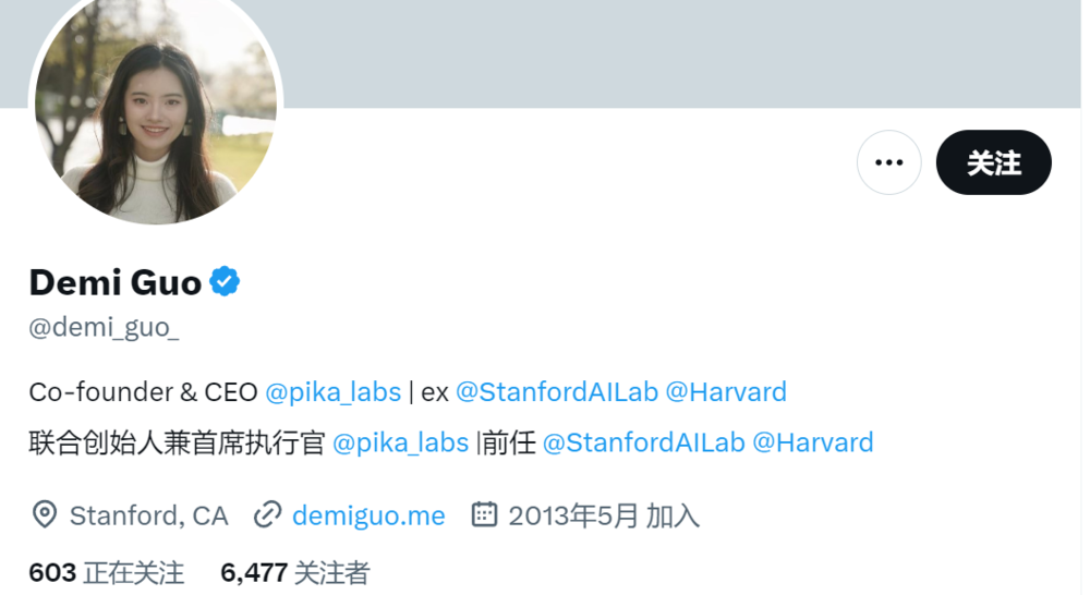 Pika- 火爆出圈的视频生成AI工具，海外独角兽项目，一度刷屏国内外社交平台