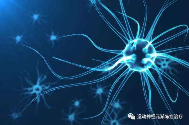 运动神经元病发展过程是什么?-CSDN博客