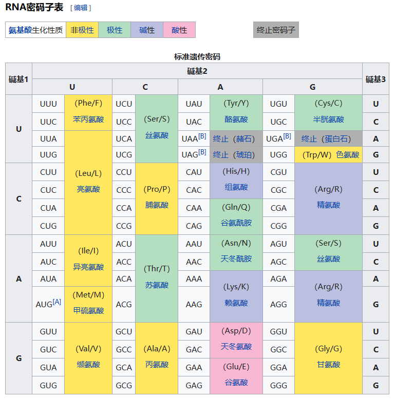 密码子AUG同时编码甲硫氨酸并作为起始点：在信使RNA的编码区里，首个ATG的出现标志着蛋白质翻译的开始。