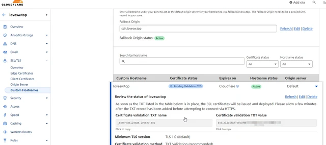 hostname-add-check-txt