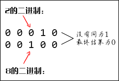 2和8的与位运算结果