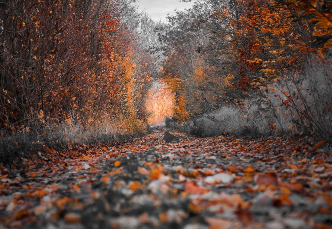 e9e91bbf59216e0115f6dea673f50754.png