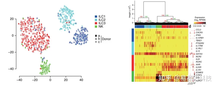 易基因单细胞转录组测序(smart-seq2)|技术推介