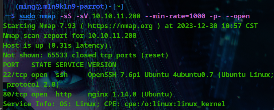 <span style='color:red;'>HackTheBox</span> - Medium - Linux - Interface