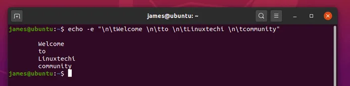 New-Line-Tab-Space-Echo-Command-Linux