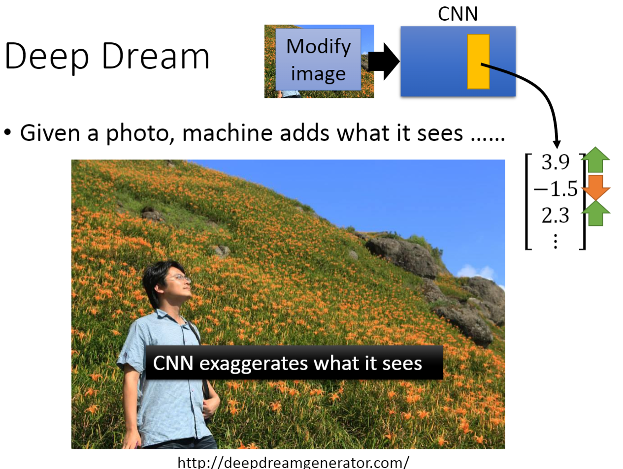 image-20220819123422227