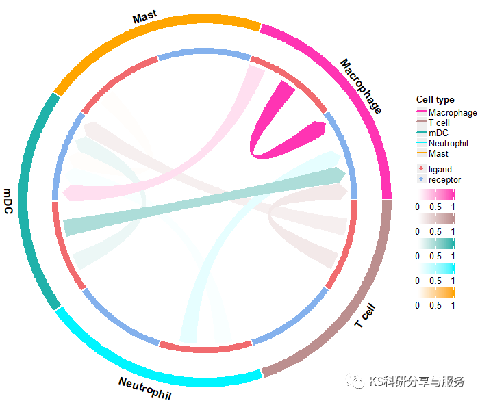 跟着Cell学单细胞转录组分析(七):细胞亚群分析及细胞互作_细胞互作分析-CSDN博客