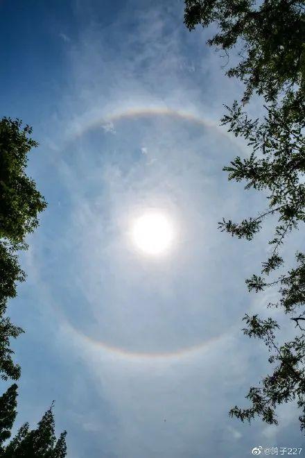 天气预报今天几点下雨今天青岛天空现奇景太阳自带光环还是彩色的