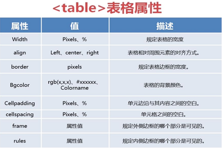 php设置单元格宽度,html中表格tr的td单元格怎么设置宽度属性