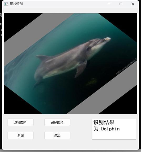 0127期基于python深度学习的海洋生物识别-含数据集-CSDN博客