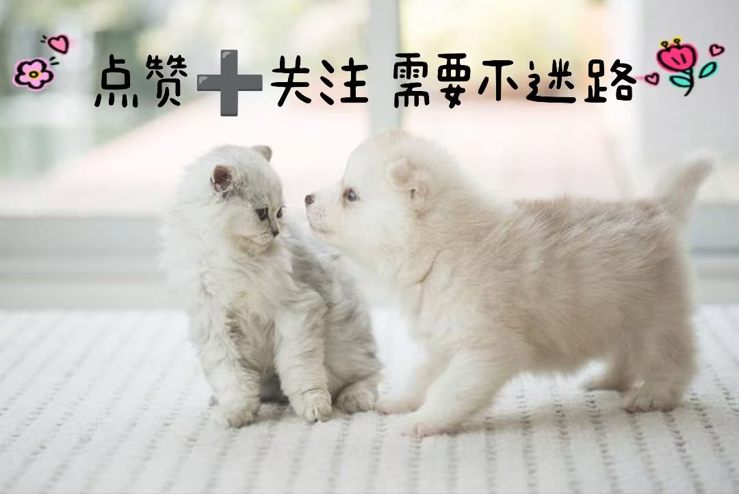 eb25ec14c0ff3c9d791c1b5c0db5394d.jpeg