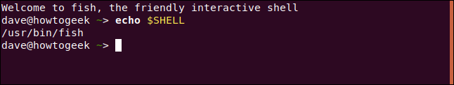 echo $SHELL in a terminal window.