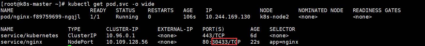 Kubernetes快速实战与核心原理剖析-1652952959134