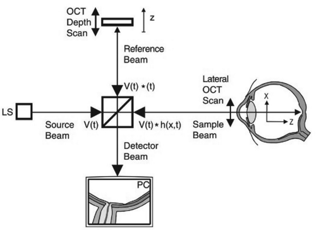 图２２ 光学相干断层扫描技术原理图