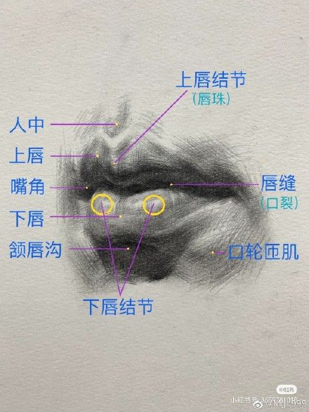 素描嘴巴如何画的饱满学学这些方法和干瘪嘴巴说再见