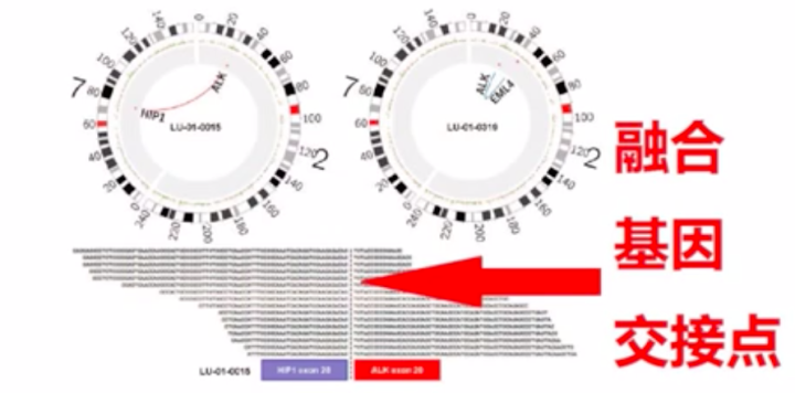 ebdb56a347eca3e672e23a6743ee81d7.png