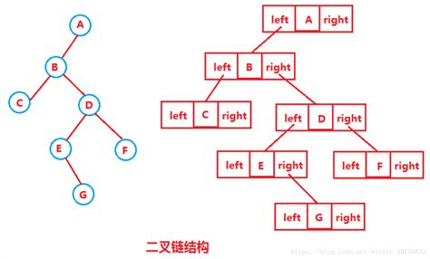 二叉树基本概念与遍历_Xucc_x的博客-CSDN博客