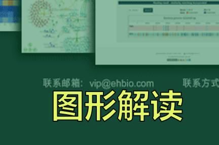 ec287eb882ee15f27faff85617d598f0.jpeg