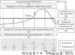 植被参数光学遥感反演方法(Python)及遥感与生态模型数据同化算法