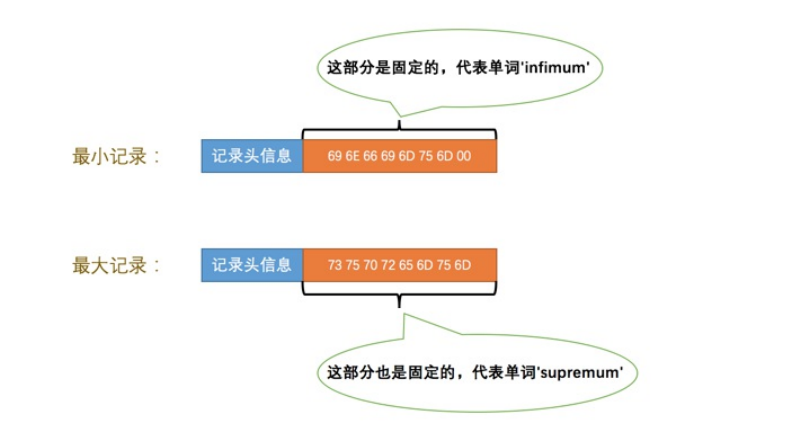 image-20211030163024832