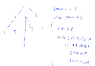 算法基础学习笔记——⑩DFS与BFS\树与图