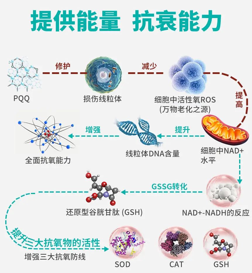 美康生物科技招聘(美康科技生物有限公司)