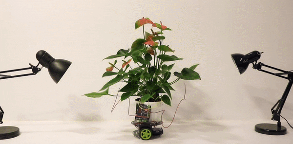 600_296gif 动态图 动图