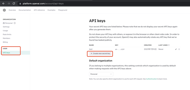 如何获取openai api key
