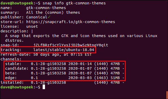 The "snap info gtk-common-themes" command in a terminal window.