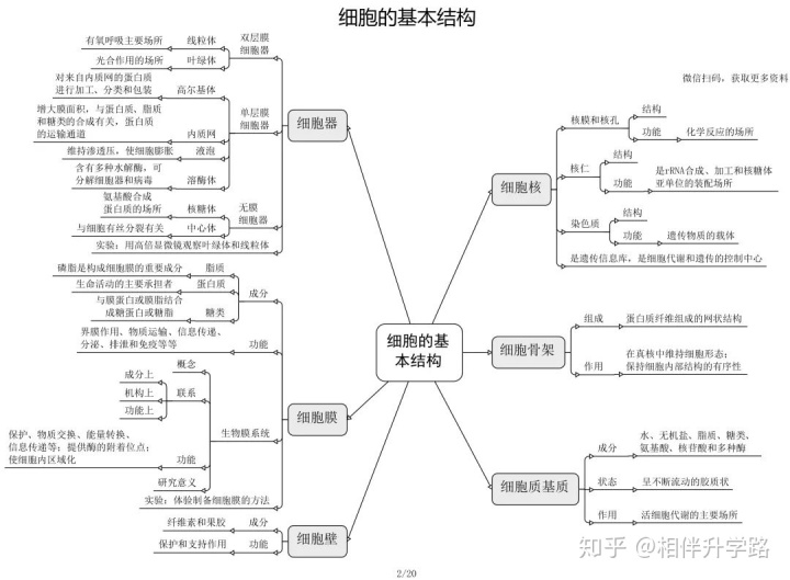 生物选修1每章框架图图片