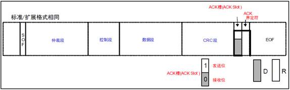 ACK段