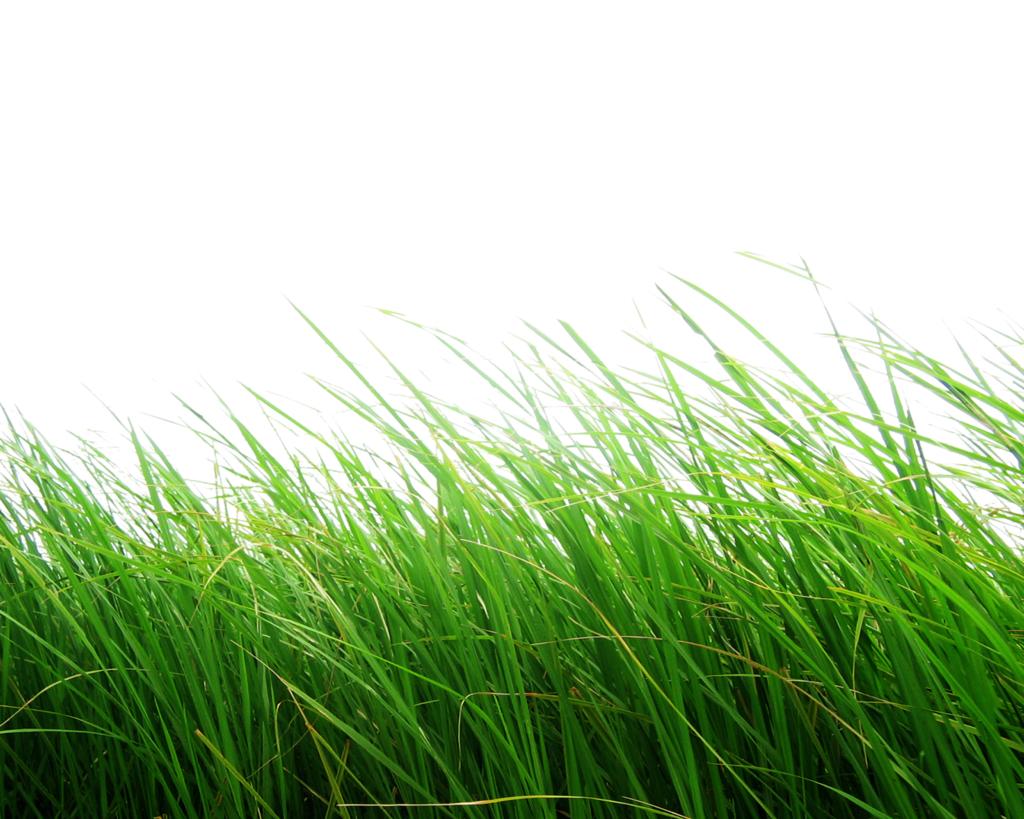 png")bg = image.new("rgb", im.size, (255,255,255))bg.