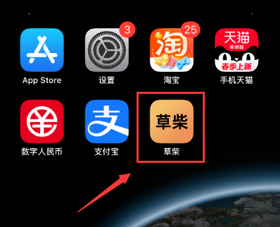 iPhone苹果手机复制了淘宝天猫优惠券领取淘口令打开淘宝APP没有弹窗怎么办？