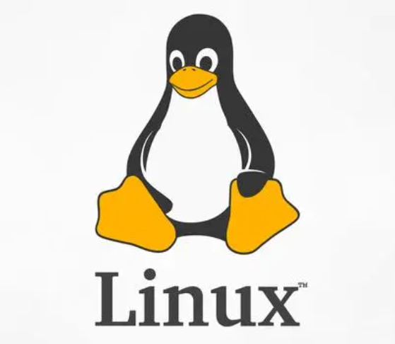 Linux常用命令---- test 命令