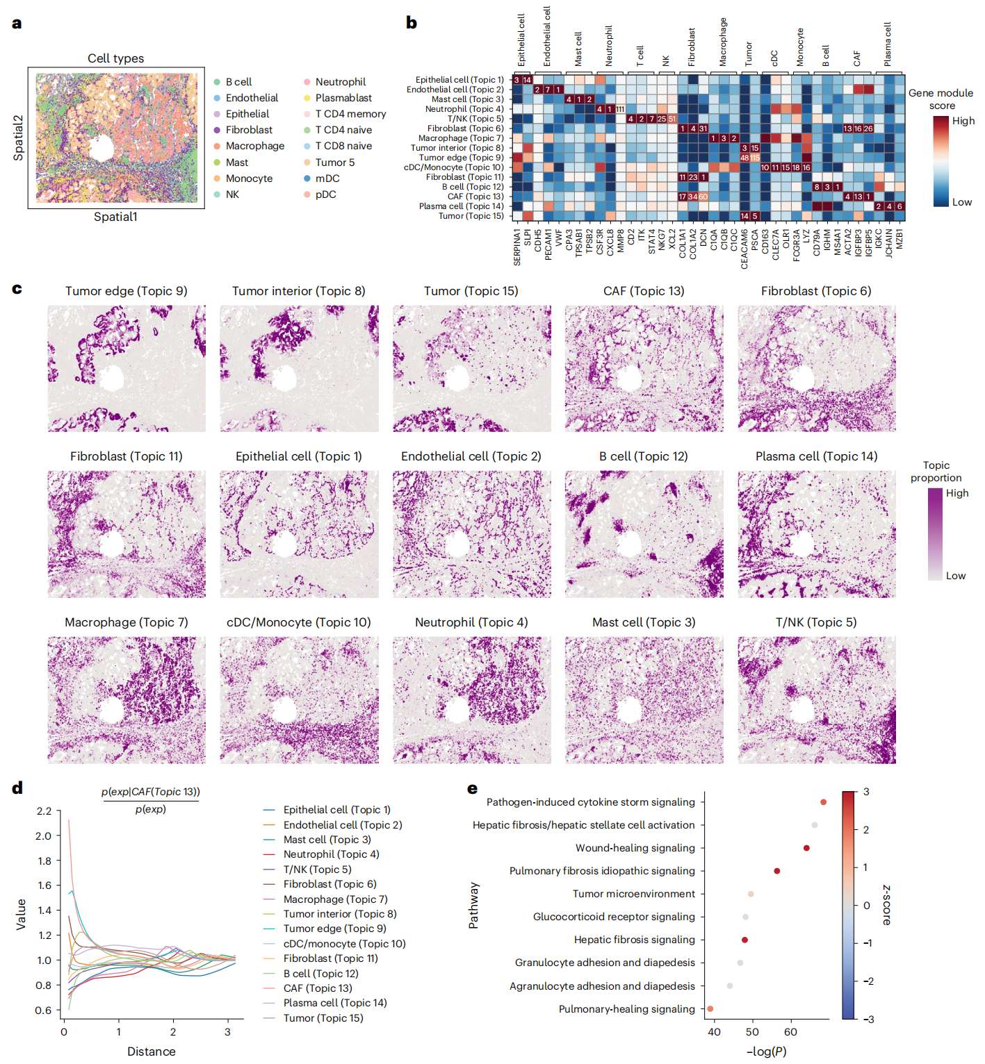 Fig.3 STAMP 对 SMI NSCLC 数据中的常规成纤维细胞中的 CAFs 进行反卷积