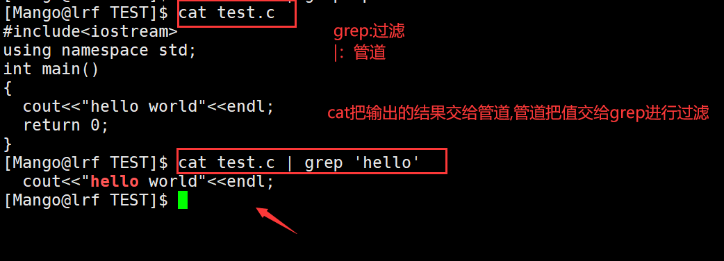 image-20220404214656056