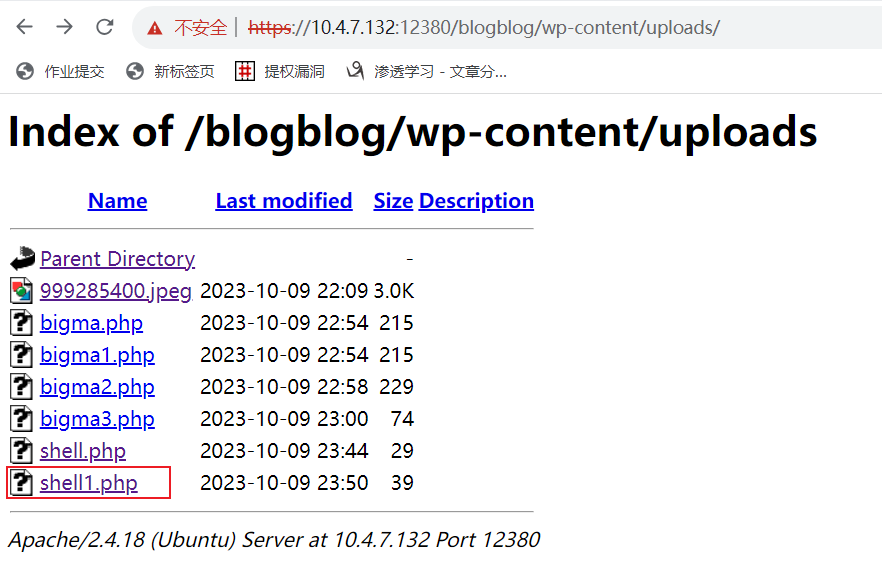 image-20231009225607059