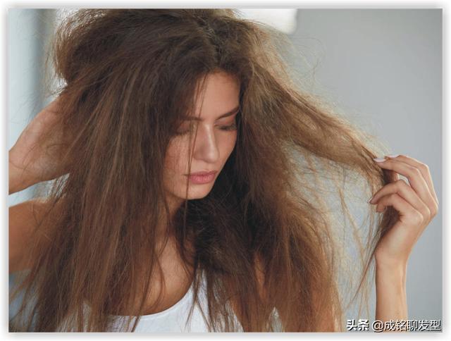 什么软件可以让头发变黑_头发特别干枯毛躁,请问什么方法可以让头发