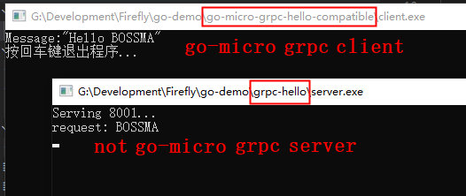 ee55710cb41cc7d615747b7add12e6ea - 解决go-micro与其它gRPC框架之间的通信问题