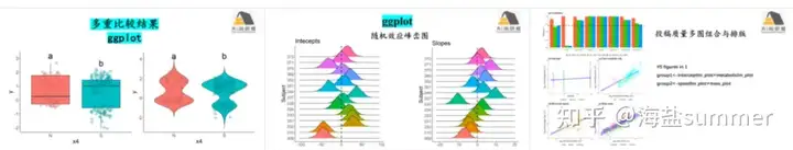 【超详细】R语言贝叶斯方法在生态环境领域中的高阶技术应用