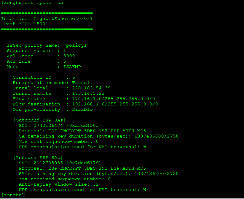 查看ipsec sa信息